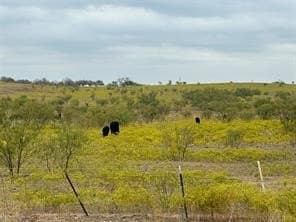 57.4 acres in Denton County gallery image 2