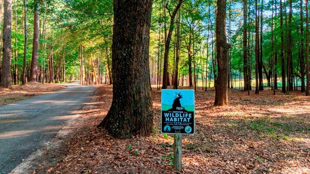 33.11 acres in Smith County gallery image 3