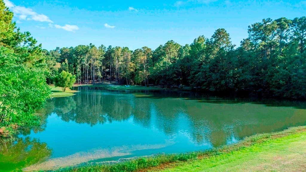 33.11 acres in Smith County featured view