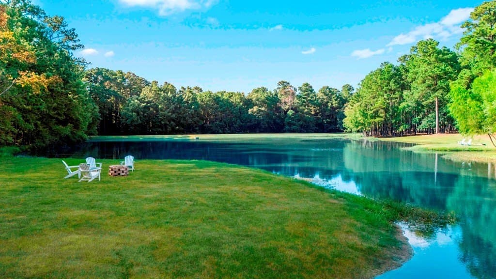 33.11 acres in Smith County gallery image 4