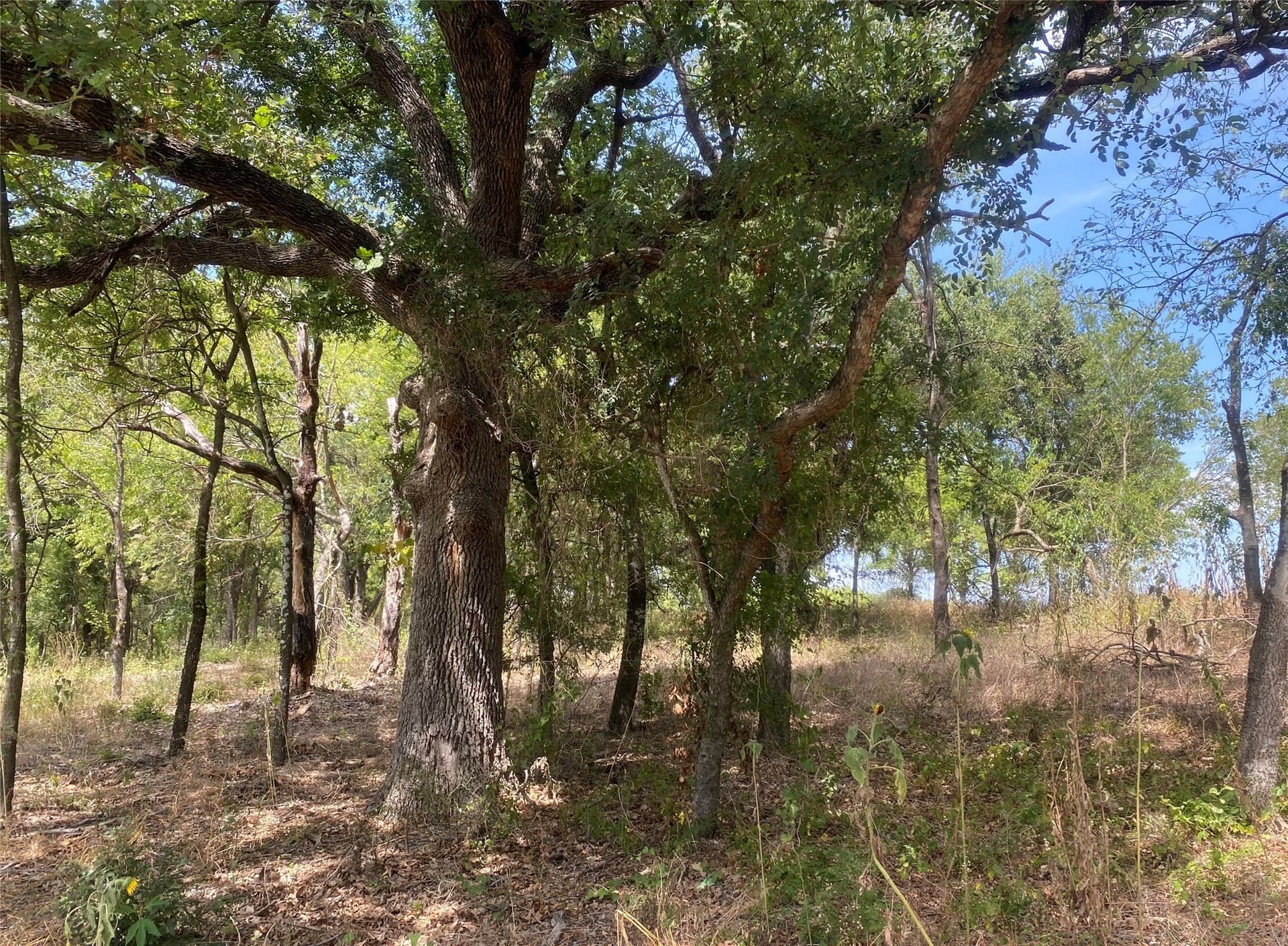 9.99 acres in Johnson County - photo 8