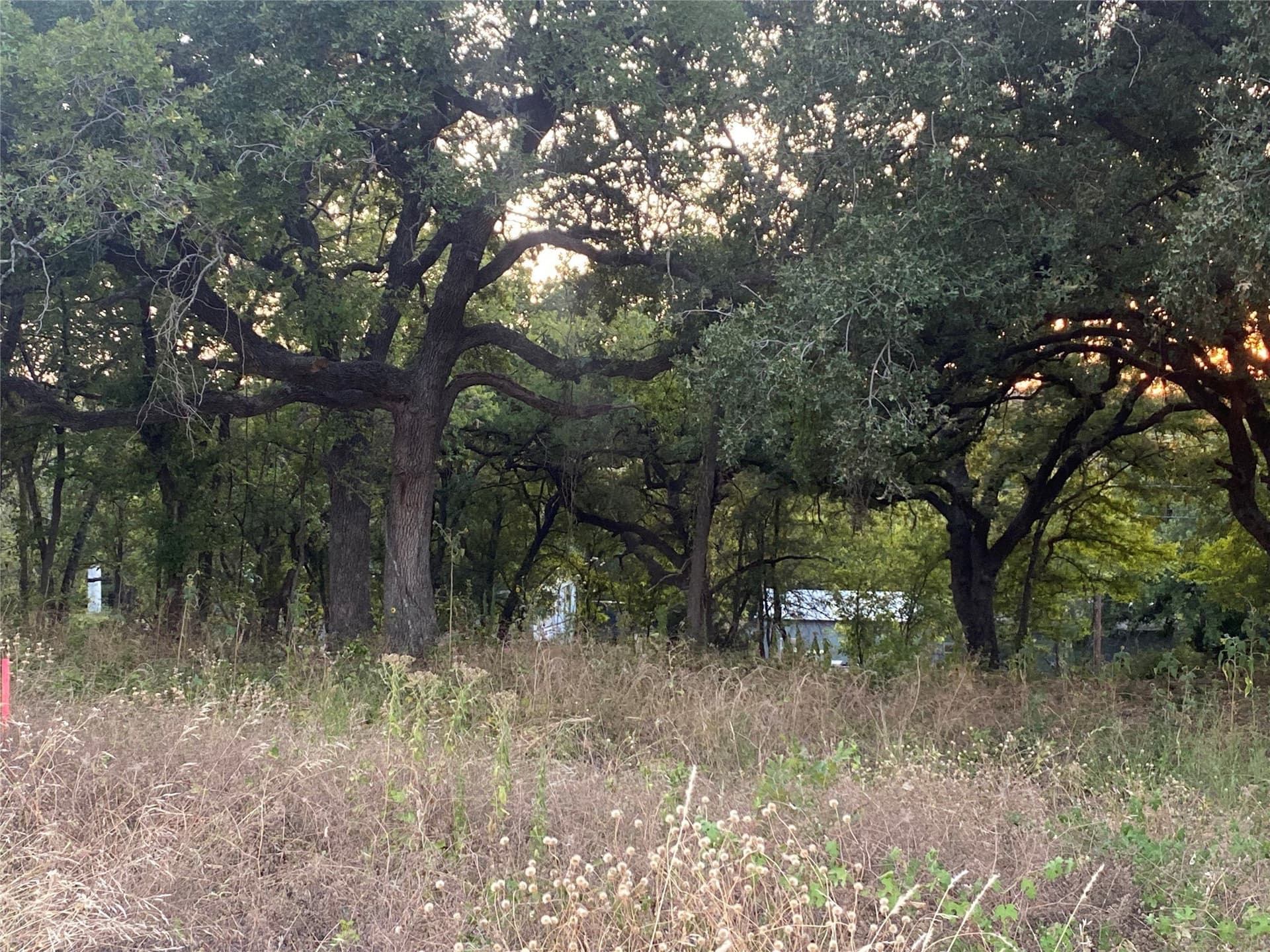 9.99 acres in Johnson County - photo 7