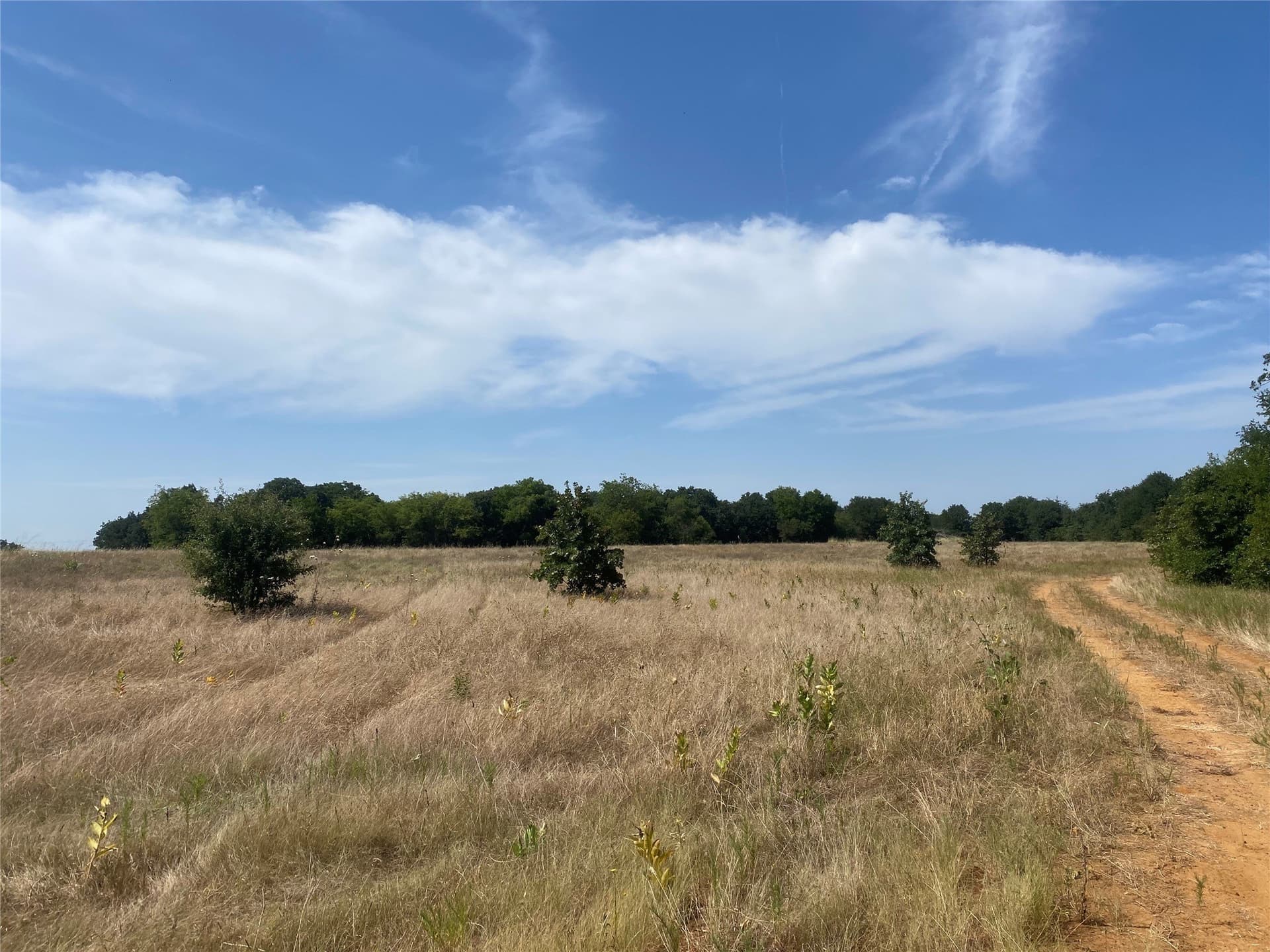 9.99 acres in Johnson County - photo 5