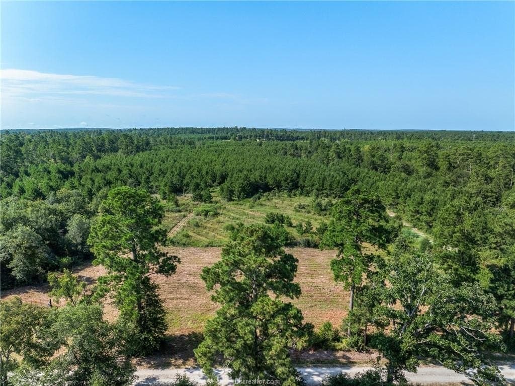 19.84 acres in Walker County - photo 11