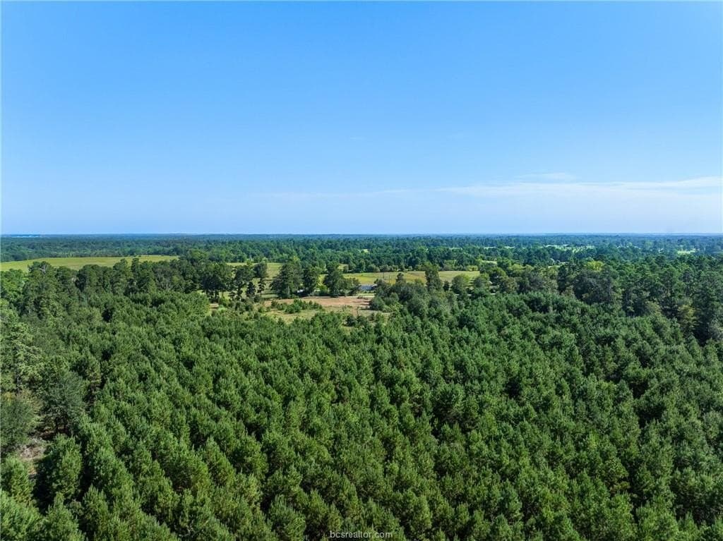 19.84 acres in Walker County - photo 22