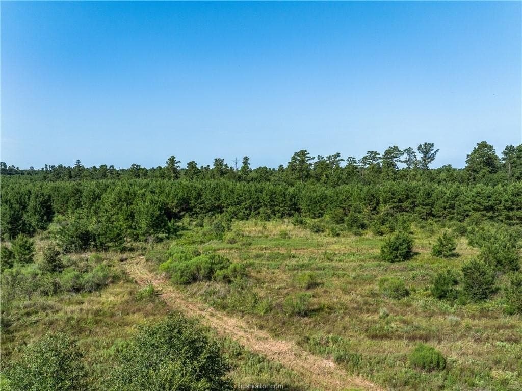 19.84 acres in Walker County - photo 7