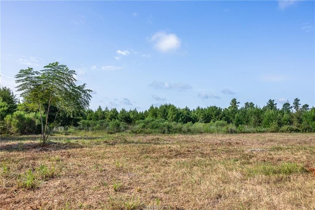 19.84 acres in Walker County - photo 12