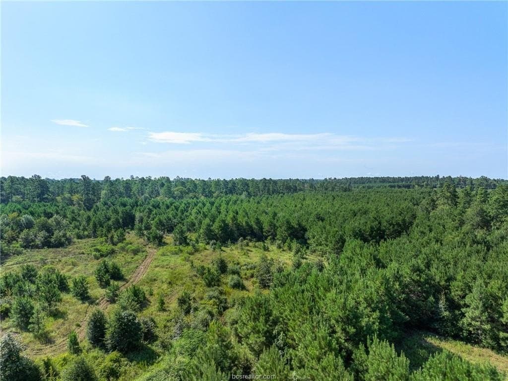 19.84 acres in Walker County - photo 15
