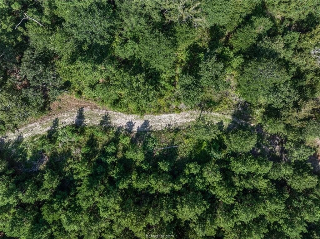19.84 acres in Walker County - photo 29