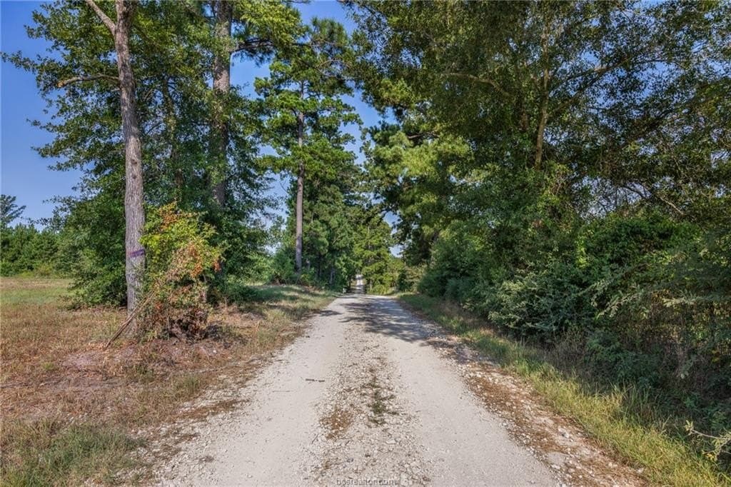 19.84 acres in Walker County gallery image 2