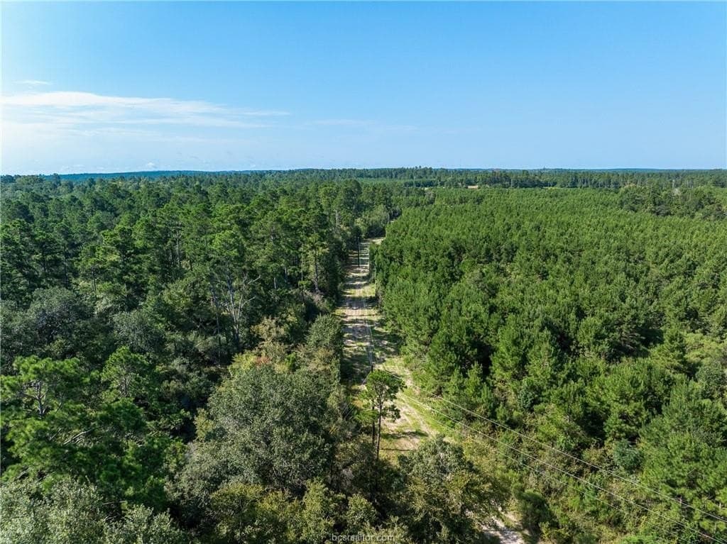 19.84 acres in Walker County - photo 23