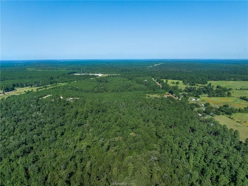 19.84 acres in Walker County - photo 25