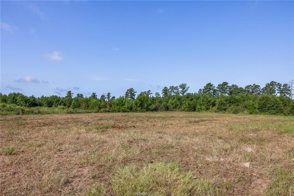 19.84 acres in Walker County - photo 17
