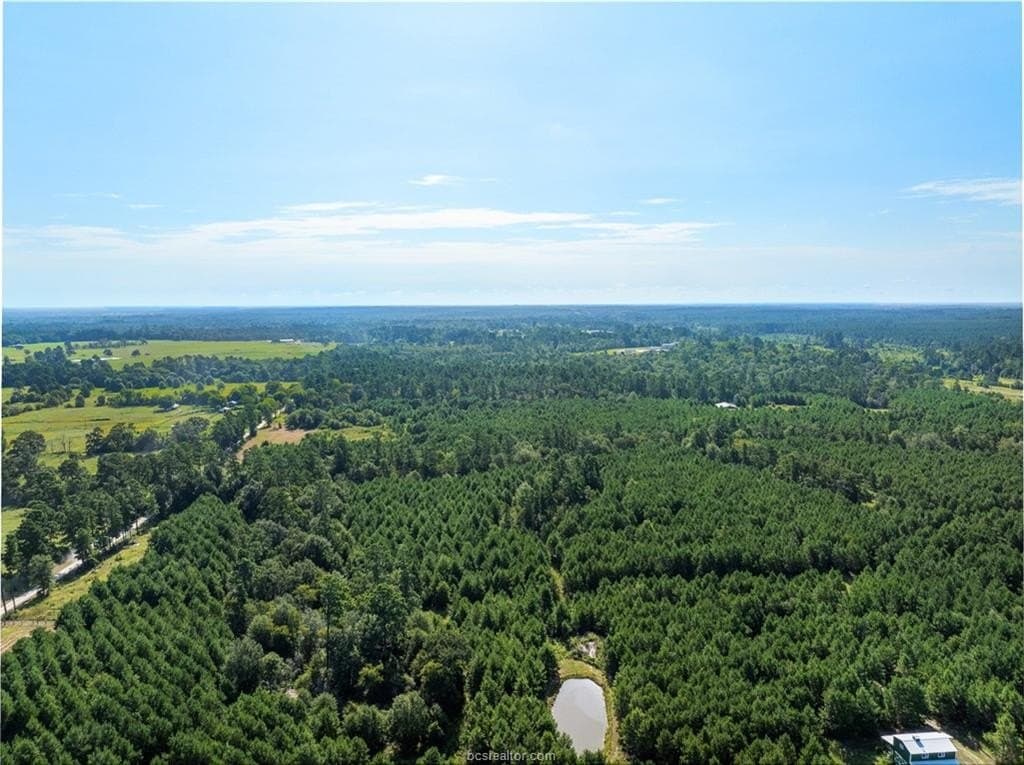 19.84 acres in Walker County - photo 27
