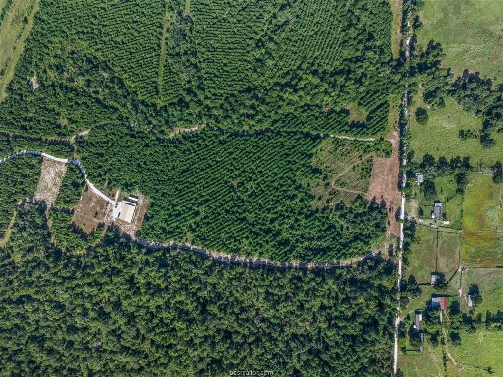 19.84 acres in Walker County - photo 21