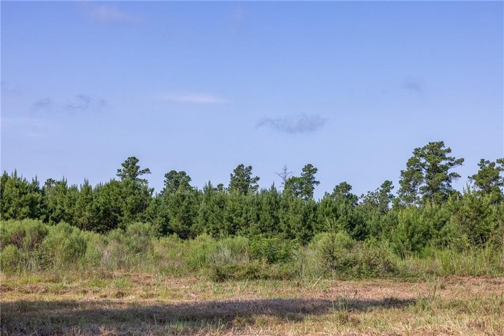19.84 acres in Walker County - photo 10
