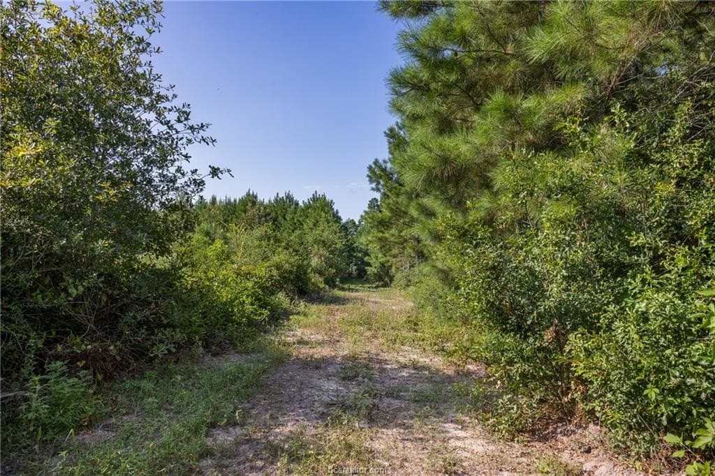 19.84 acres in Walker County featured view