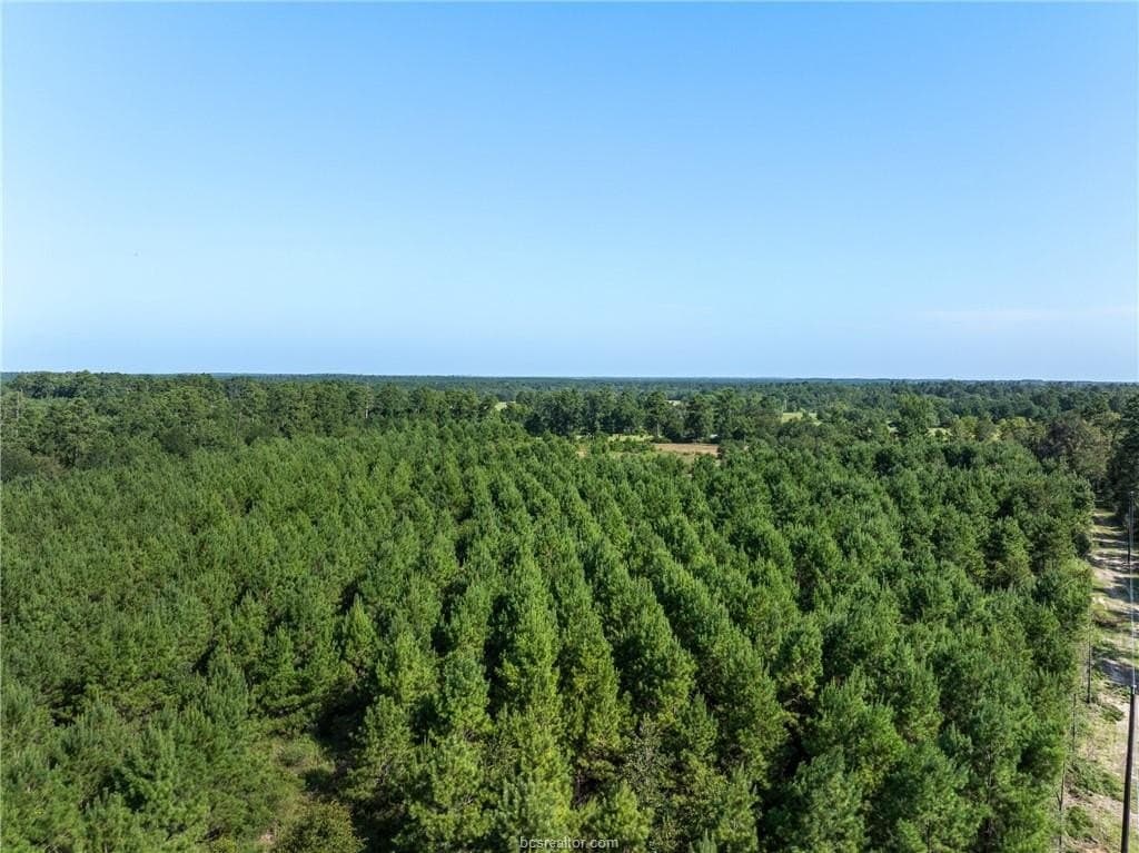 19.84 acres in Walker County - photo 14