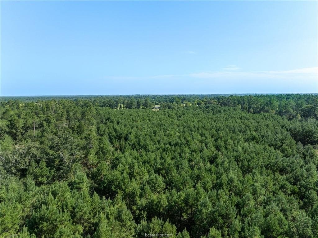 19.84 acres in Walker County - photo 19