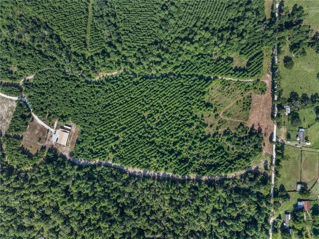 19.84 acres in Walker County - photo 8