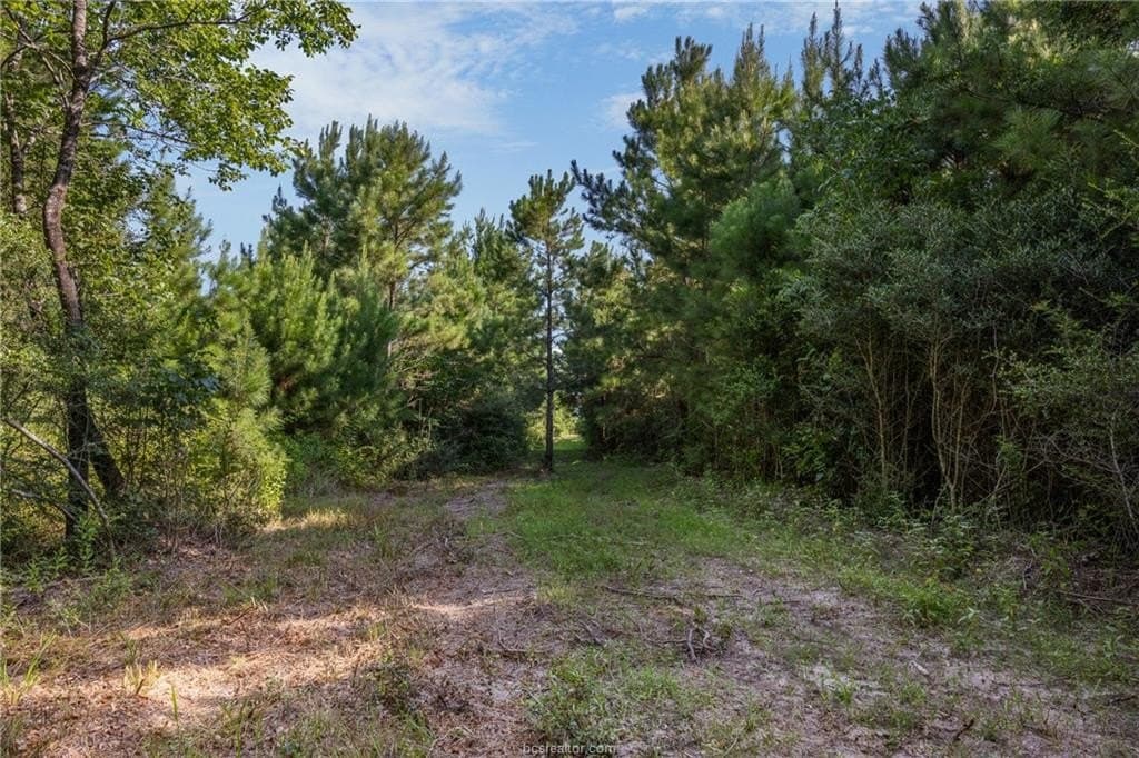 19.84 acres in Walker County - photo 16