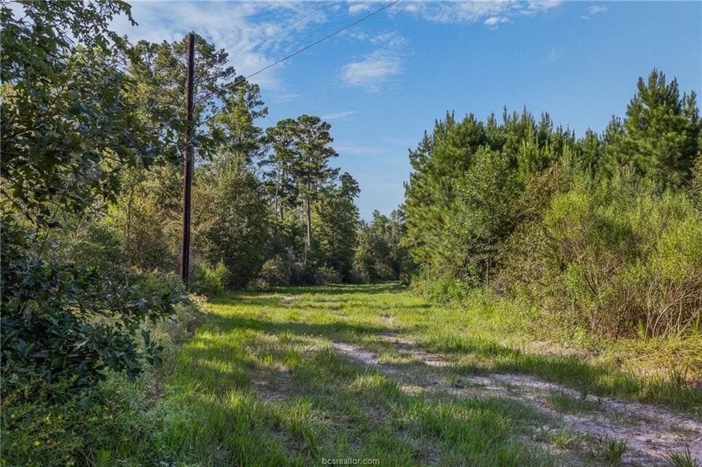 19.84 acres in Walker County - photo 6