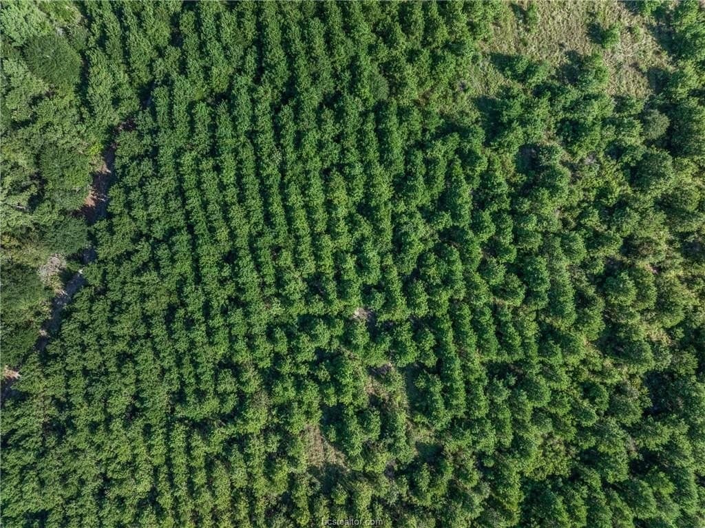 19.84 acres in Walker County - photo 18