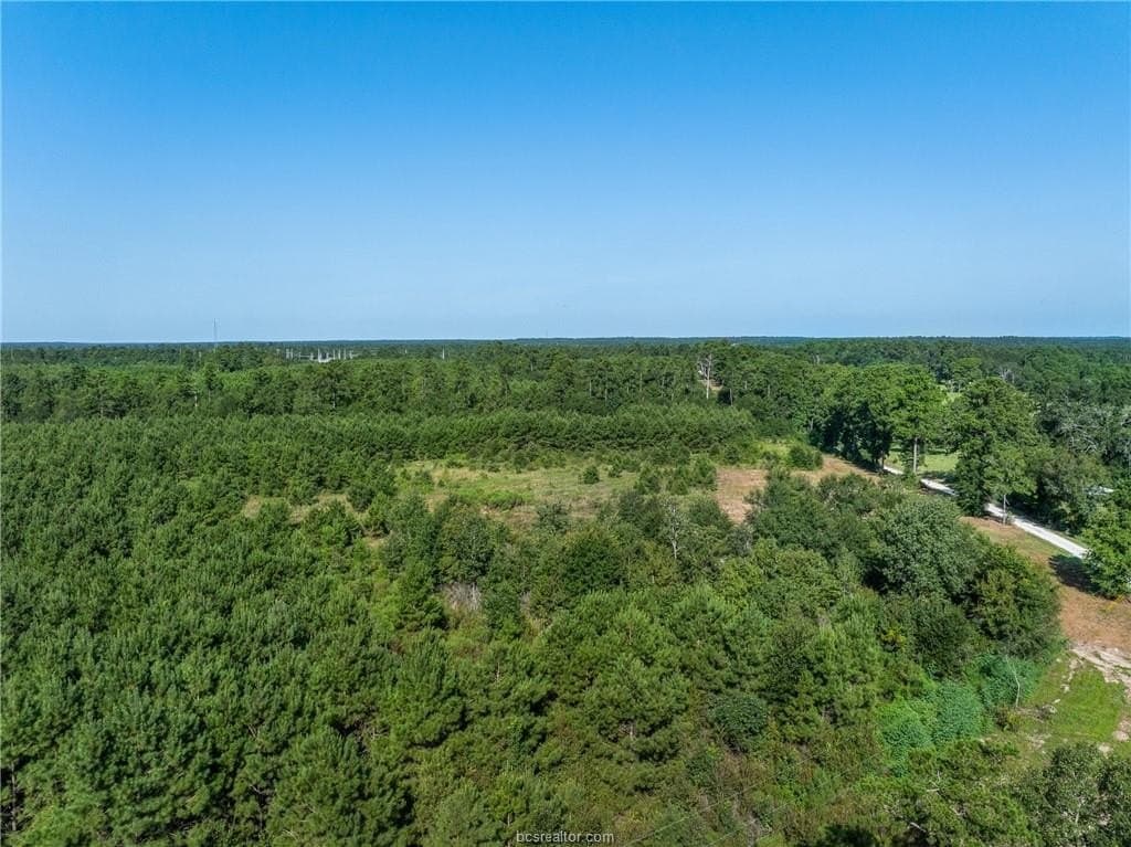 19.84 acres in Walker County - photo 28