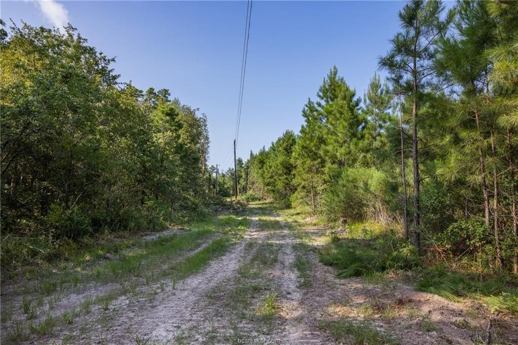 19.84 acres in Walker County - photo 13