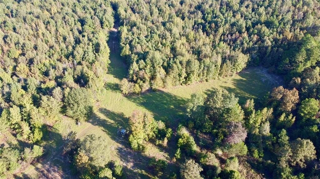 18.18 acres in Cass County gallery image 3