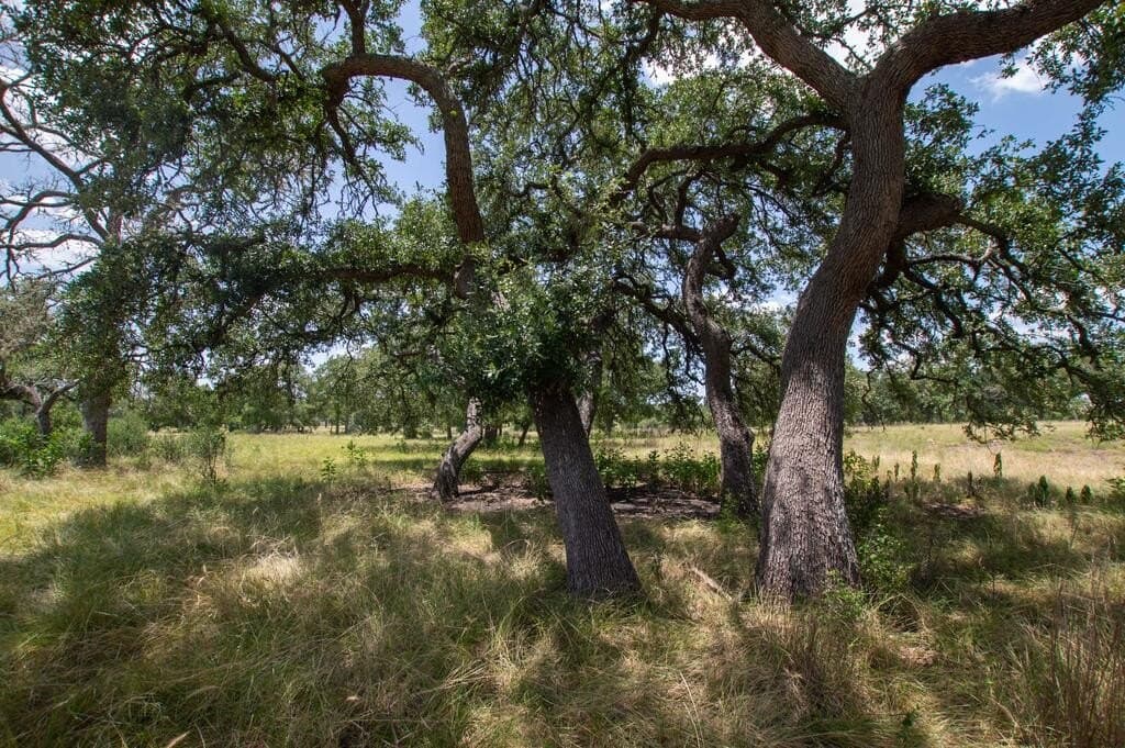 7.42 acres in Kerr County - photo 8