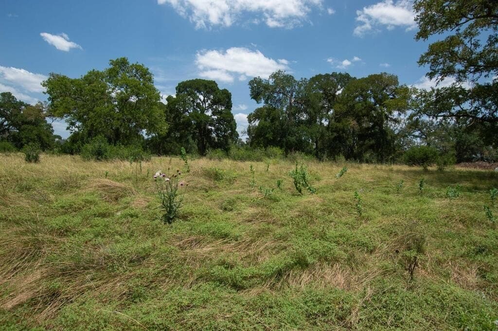 7.42 acres in Kerr County - photo 15