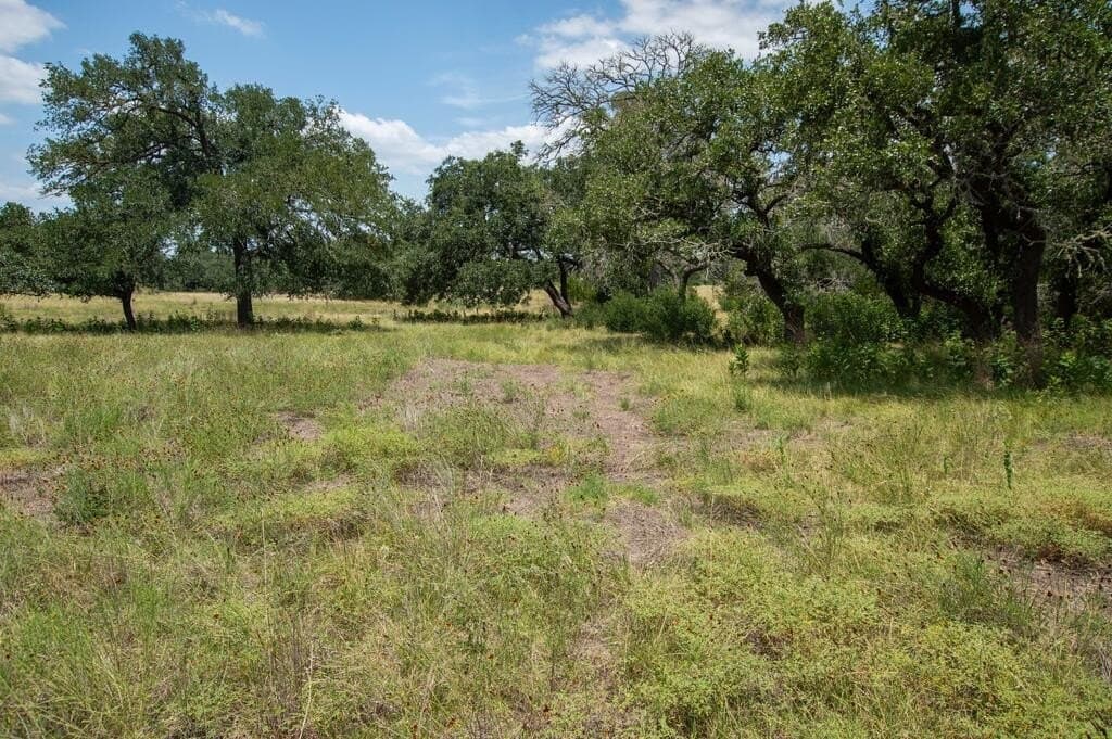 7.42 acres in Kerr County - photo 17