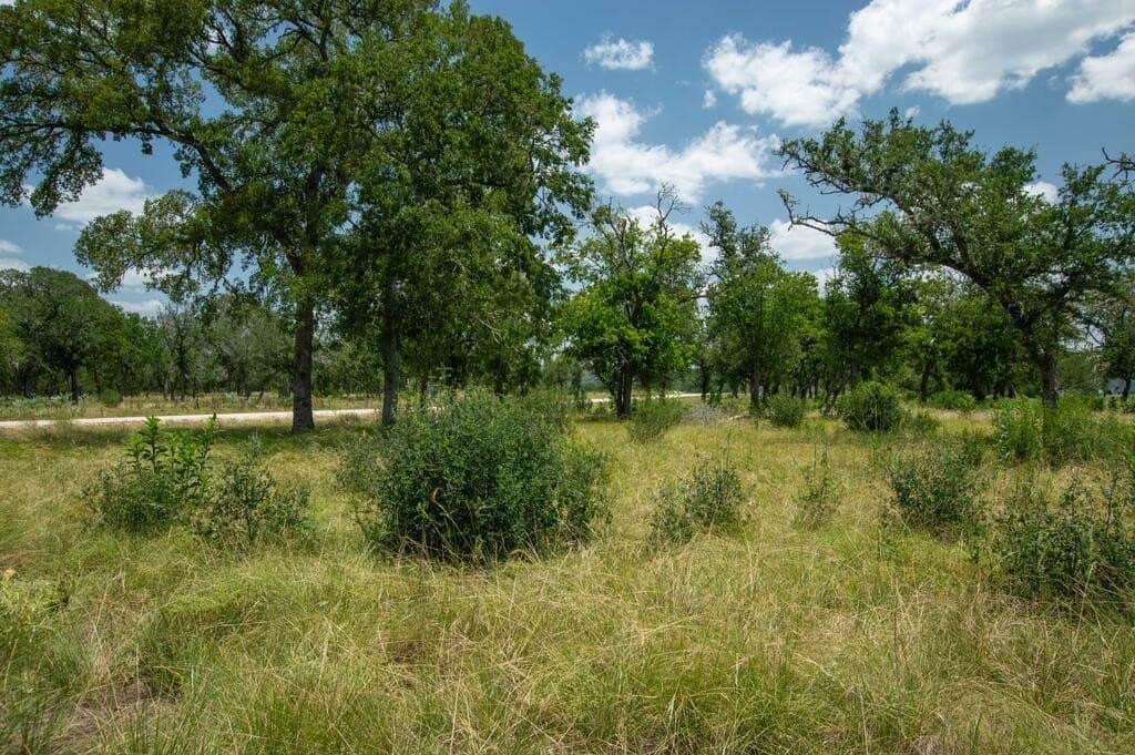 7.42 acres in Kerr County - photo 10