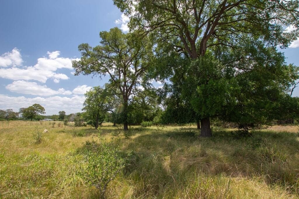 7.42 acres in Kerr County - photo 6