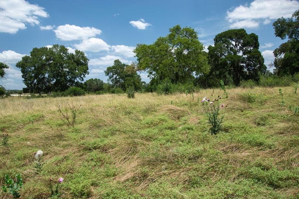7.42 acres in Kerr County - photo 13