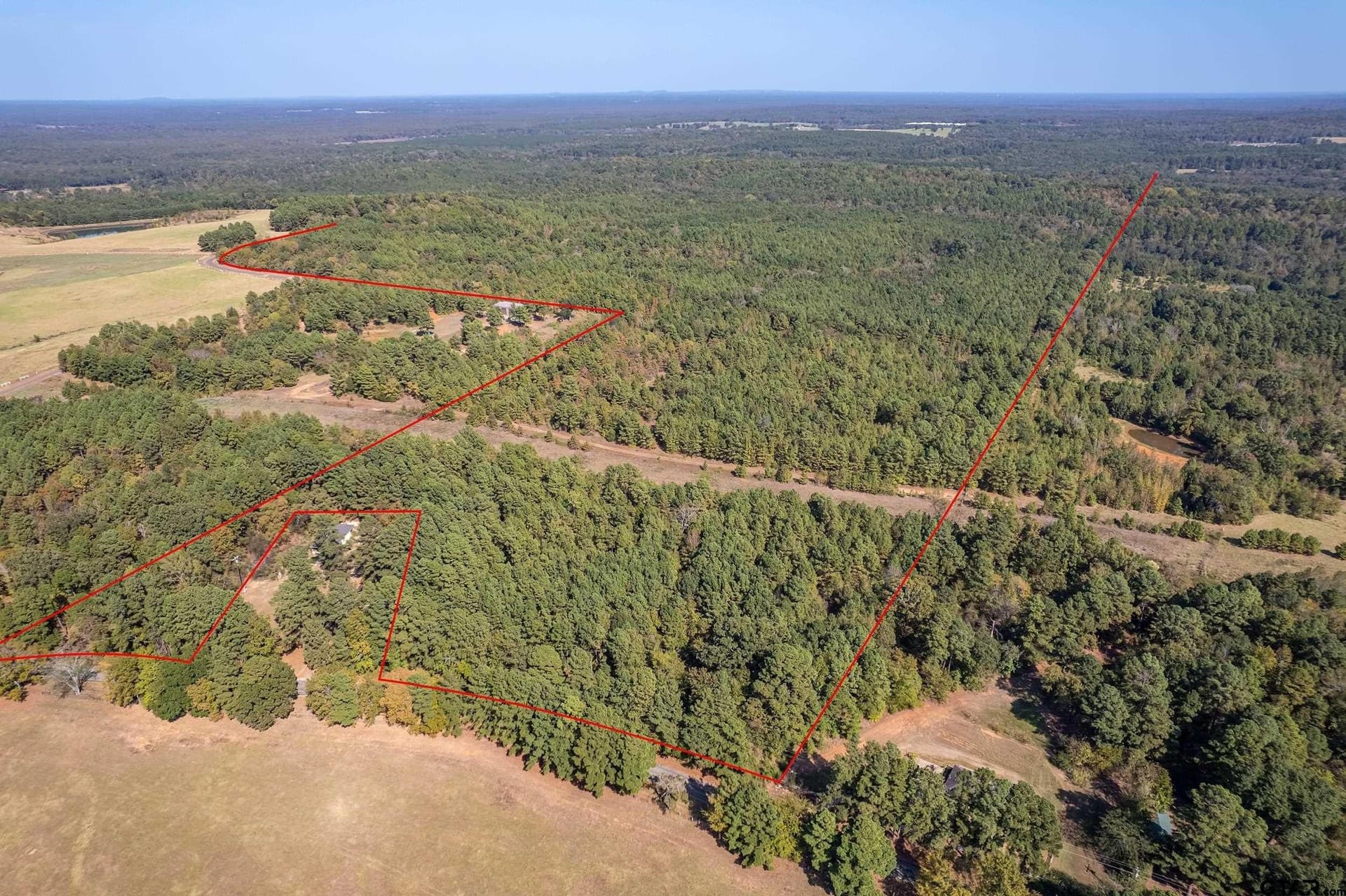 354 acres in Smith County - photo 7