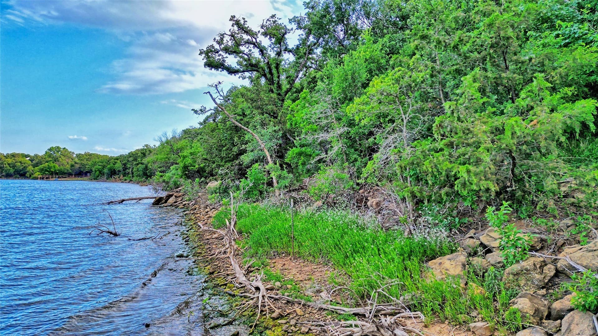 0.91 acres in Montague County - photo 19