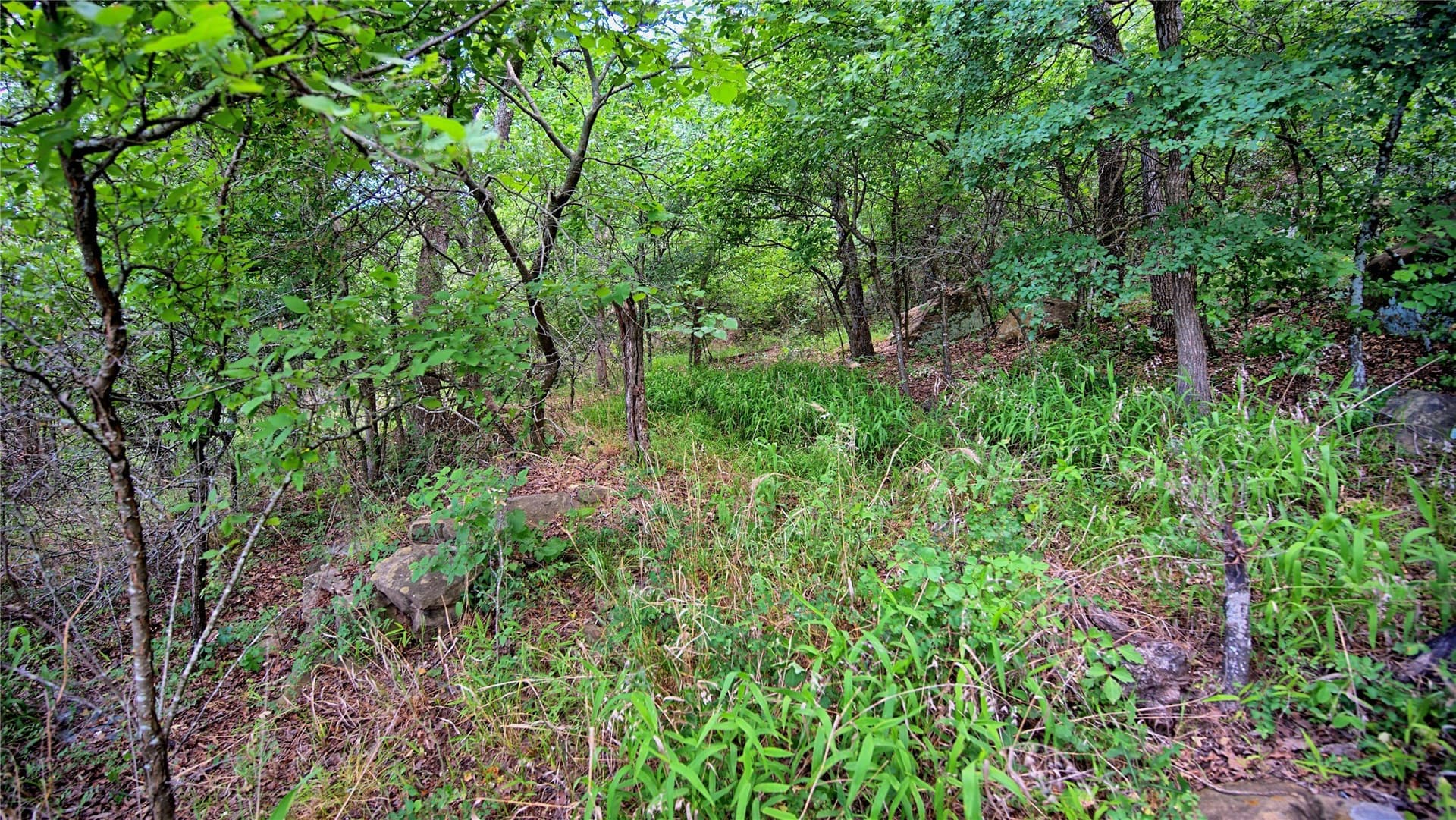 0.91 acres in Montague County - photo 6