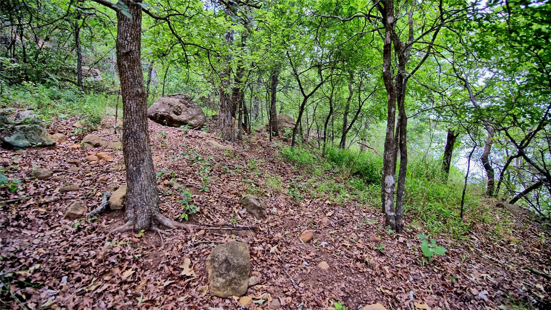 0.91 acres in Montague County - photo 20