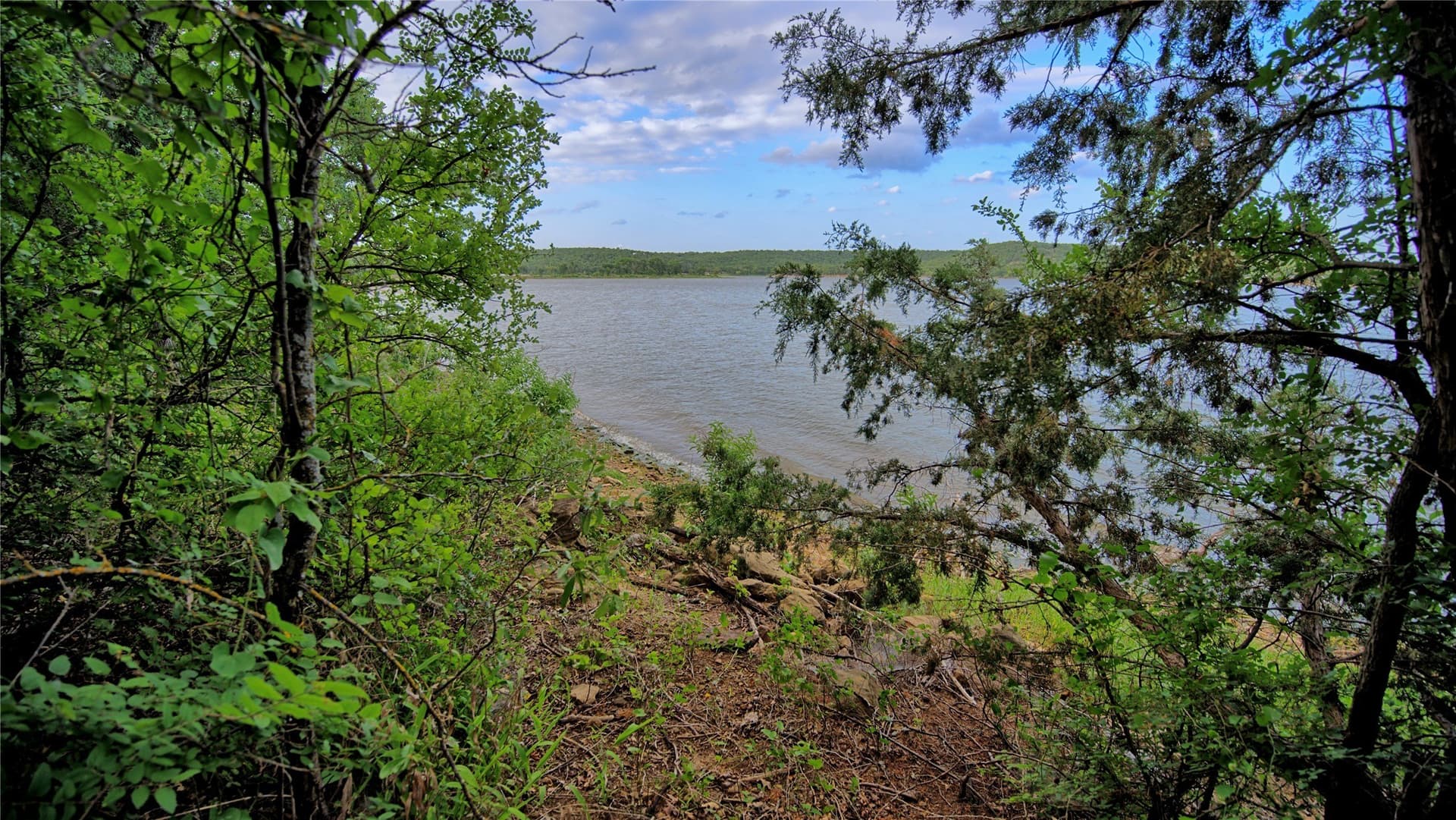 0.91 acres in Montague County - photo 3