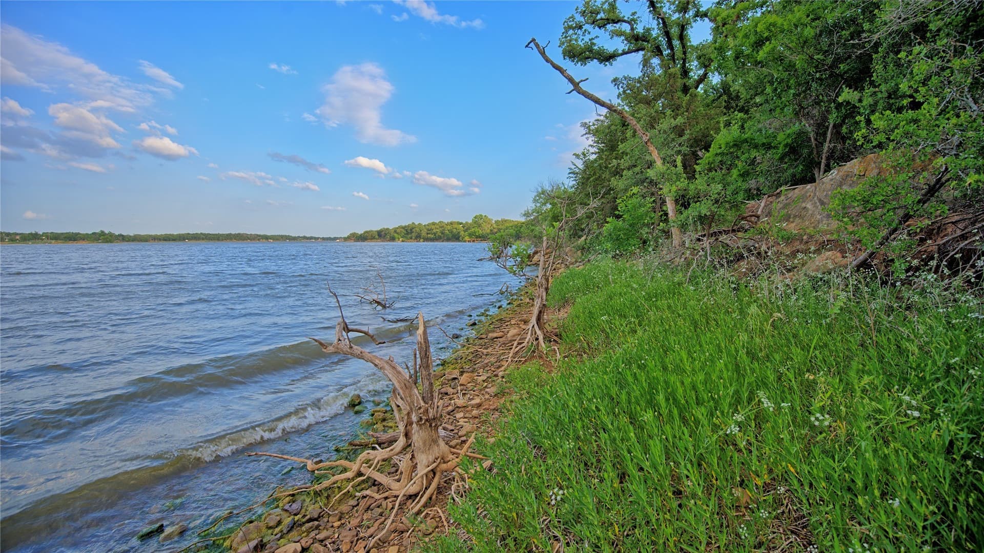 0.91 acres in Montague County - photo 4