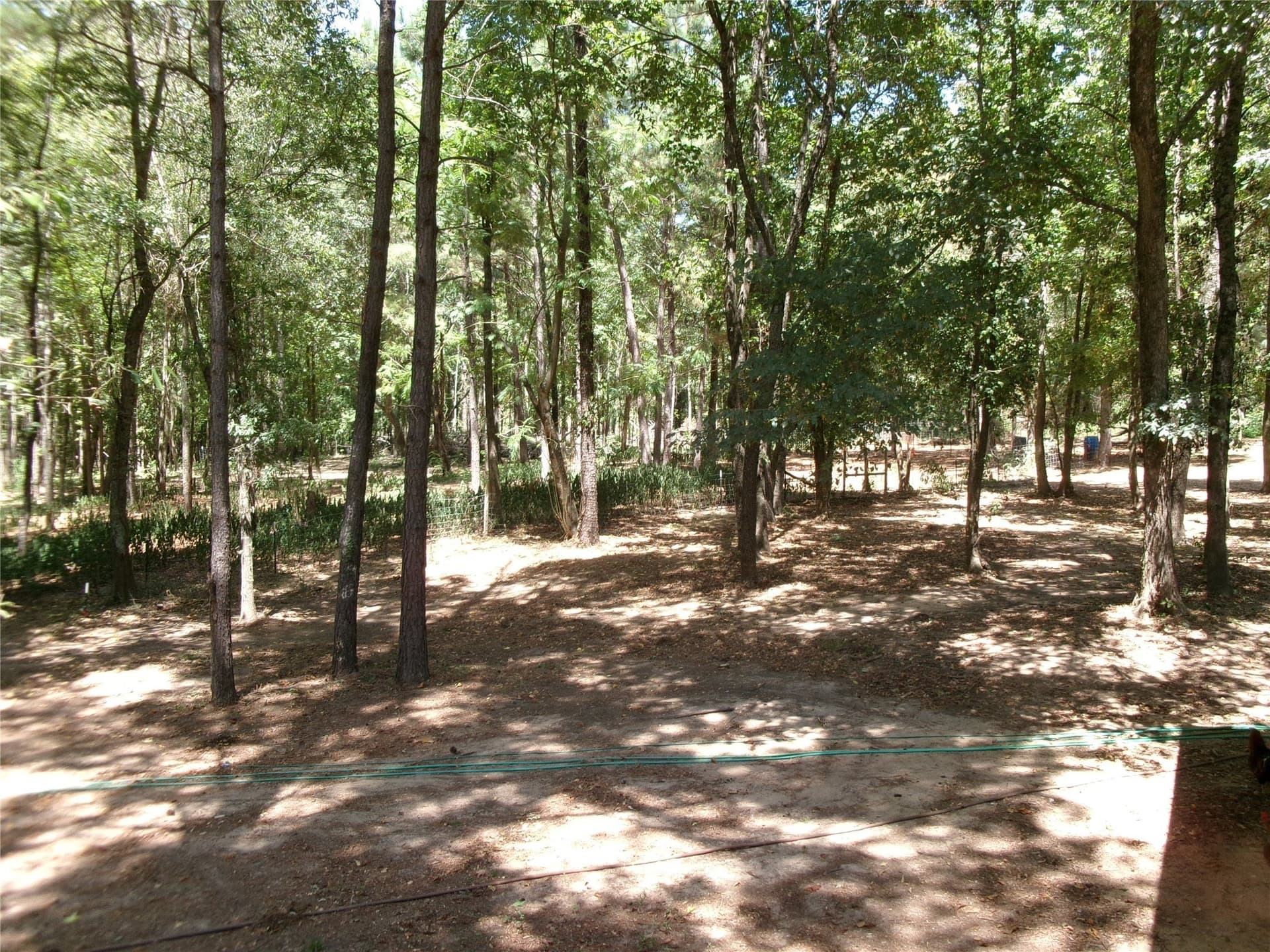 21.98 acres in Bowie County - photo 7