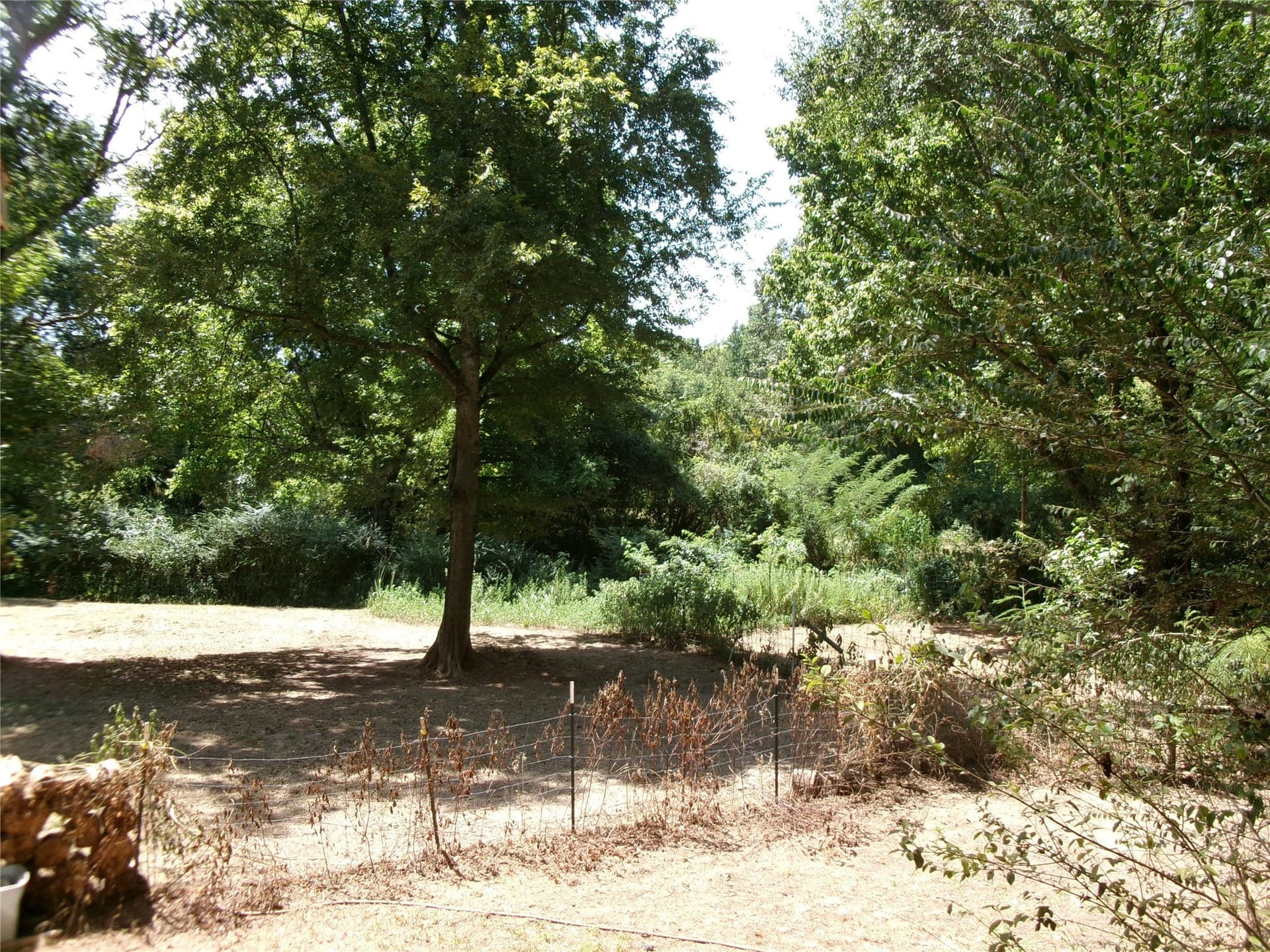 21.98 acres in Bowie County - photo 3