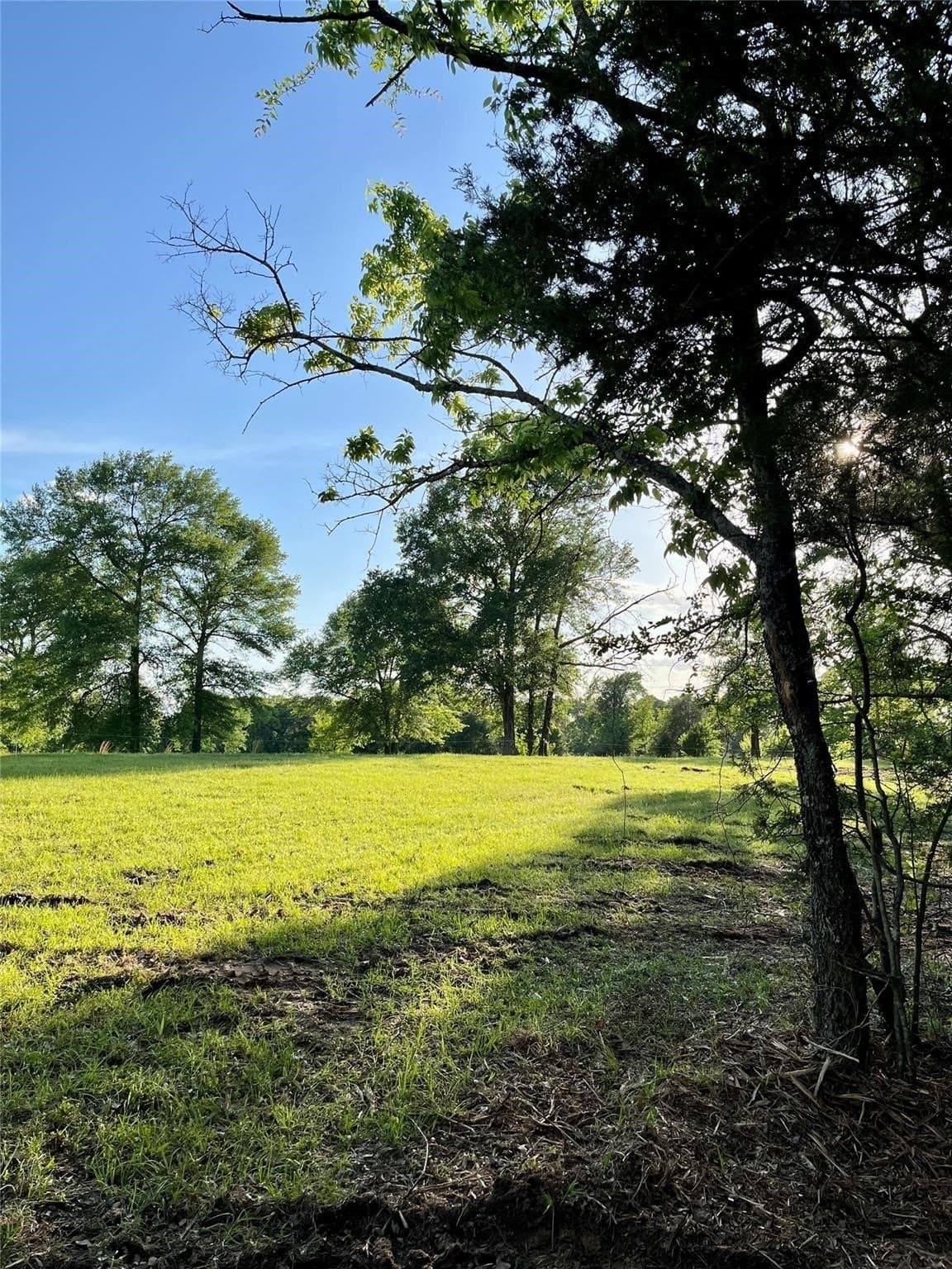 65 acres in Henderson County - photo 7