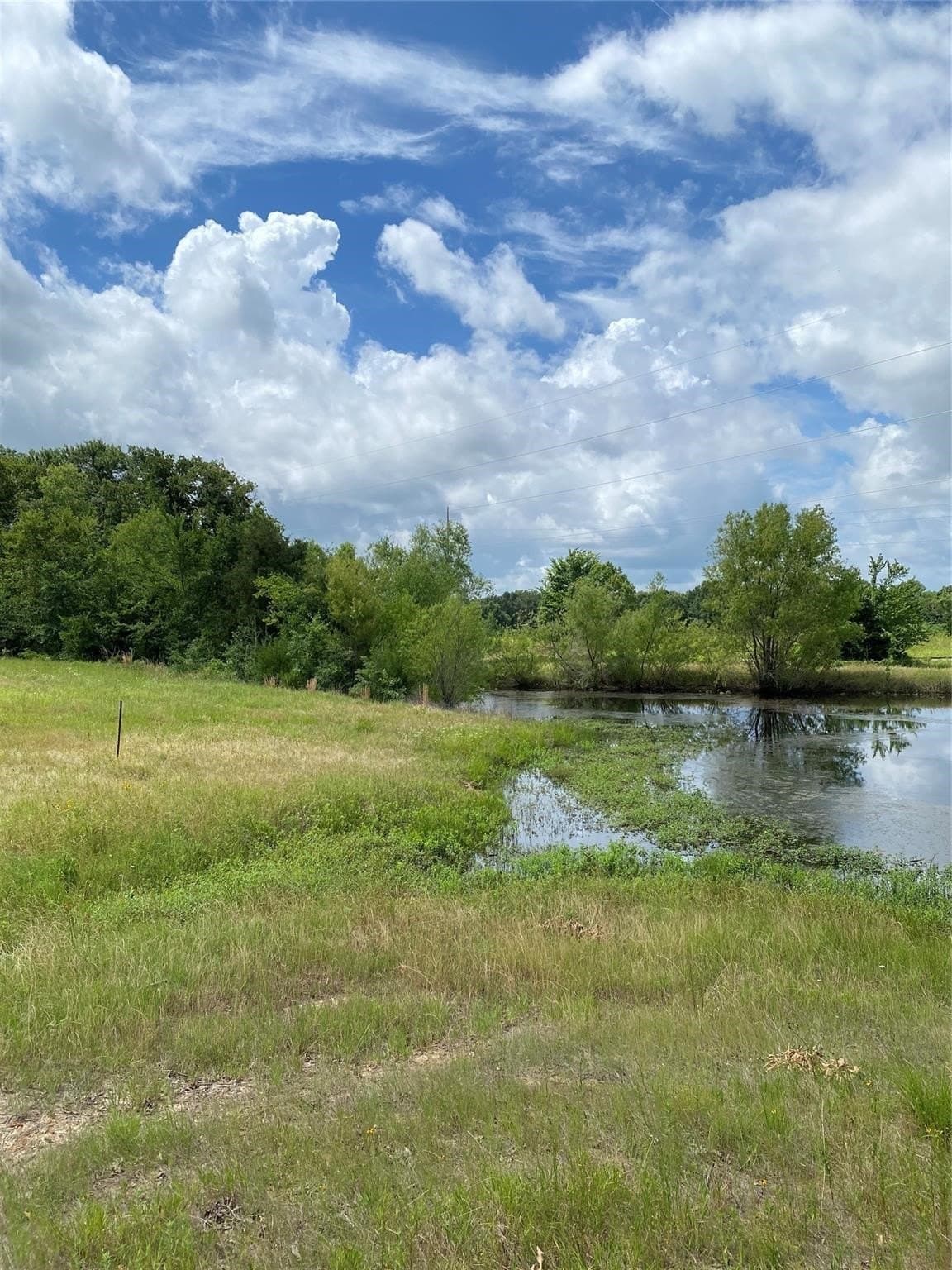 65 acres in Henderson County - photo 10