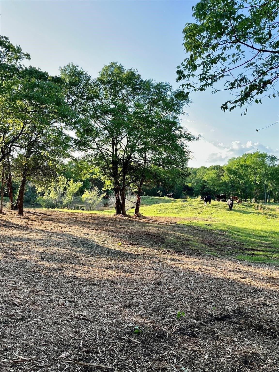 65 acres in Henderson County featured view
