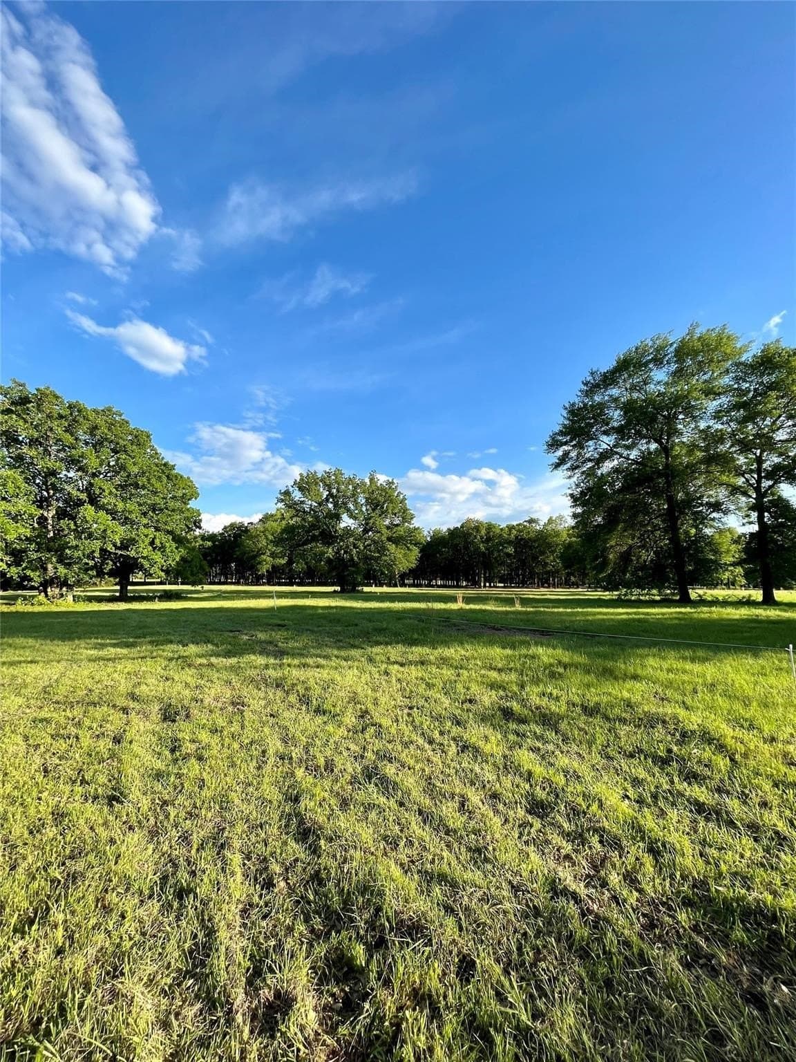 65 acres in Henderson County gallery image 4