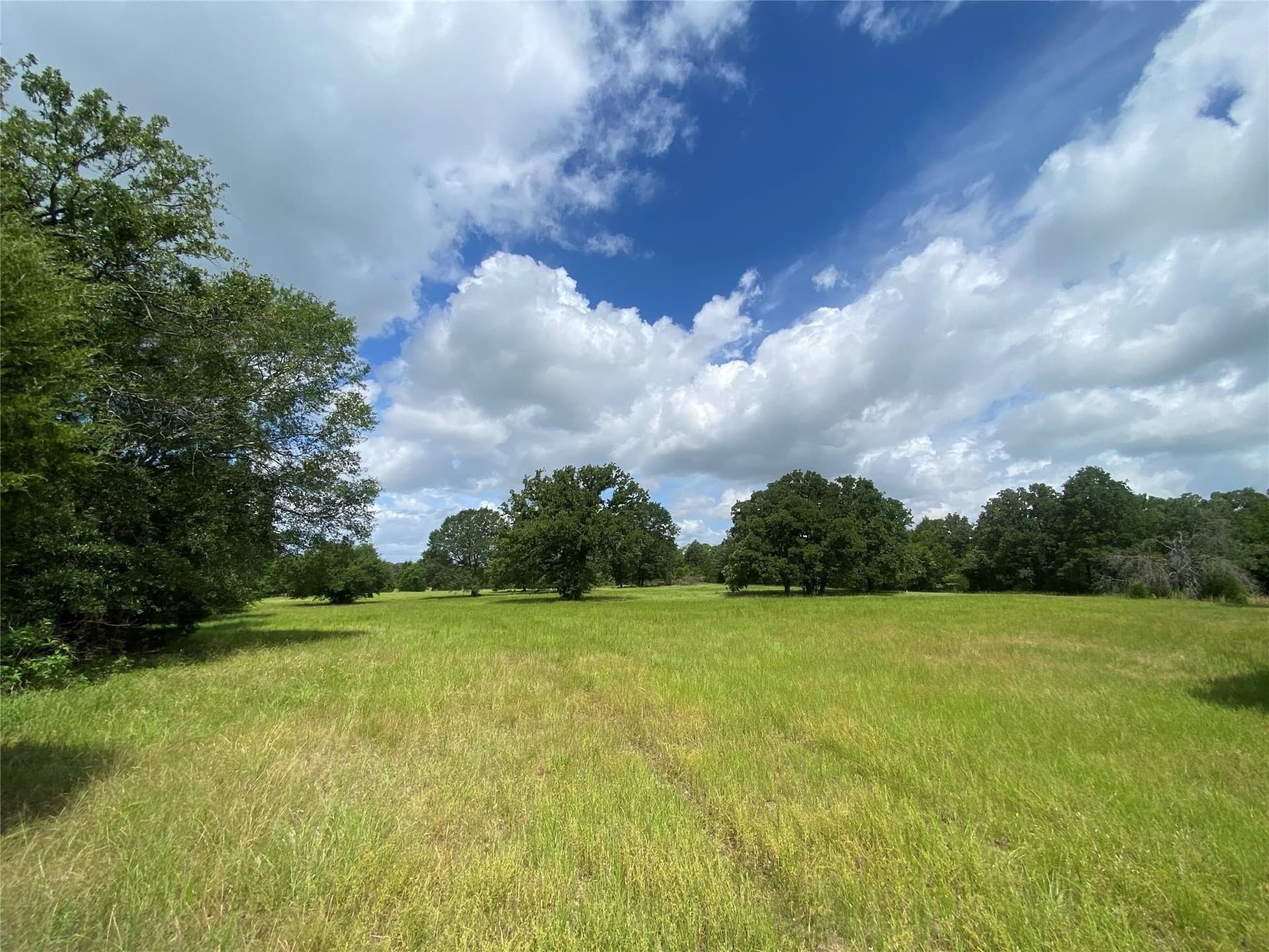 65 acres in Henderson County - photo 8