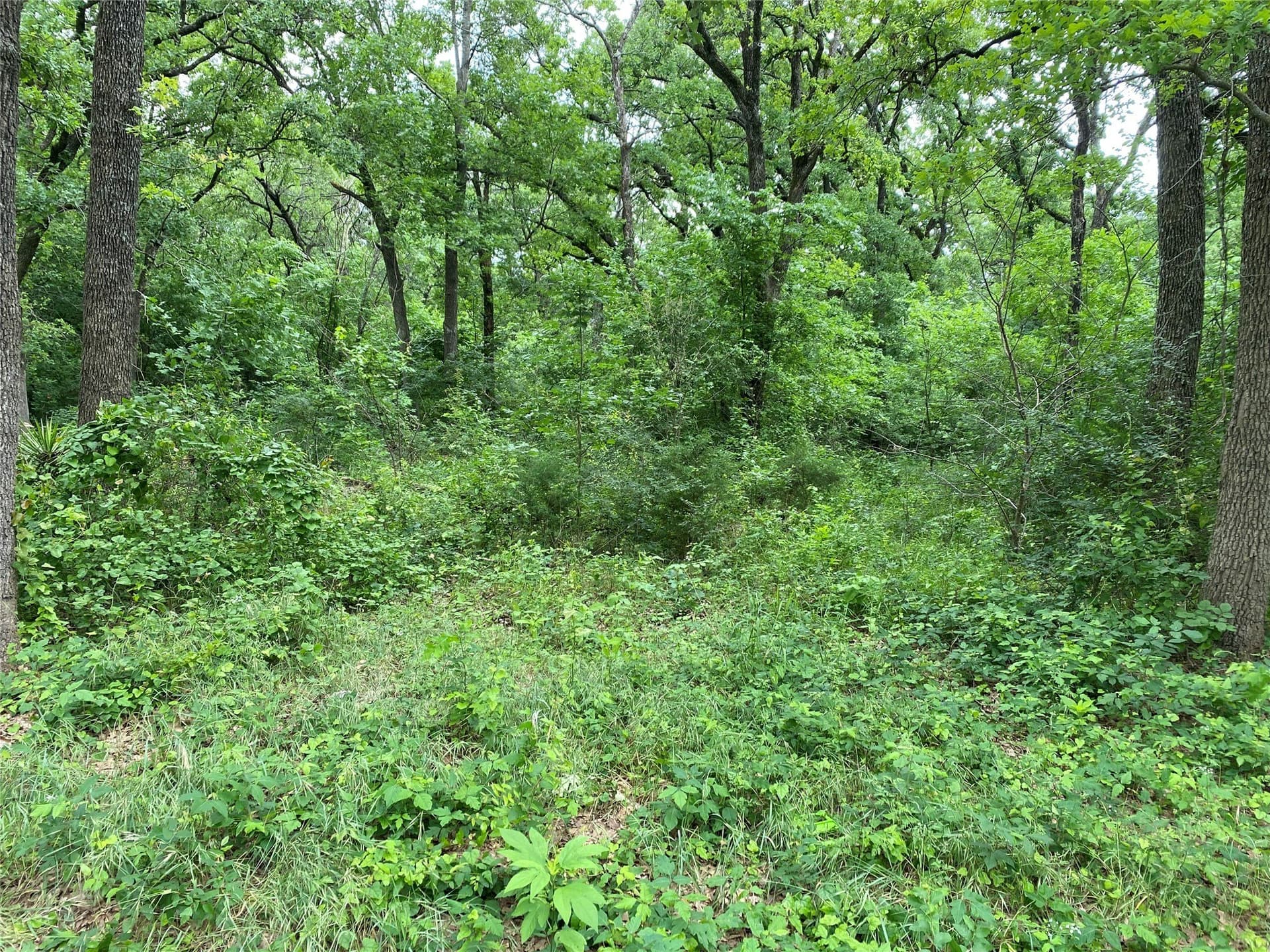 0.16 acres in Navarro County gallery image 2